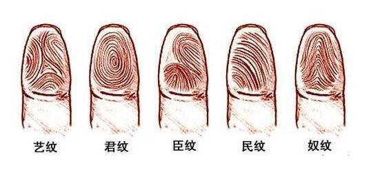 心情难以平静下，七上八下心不专打一个准确生肖仔细释义、解释与落实、精准解答解释落实