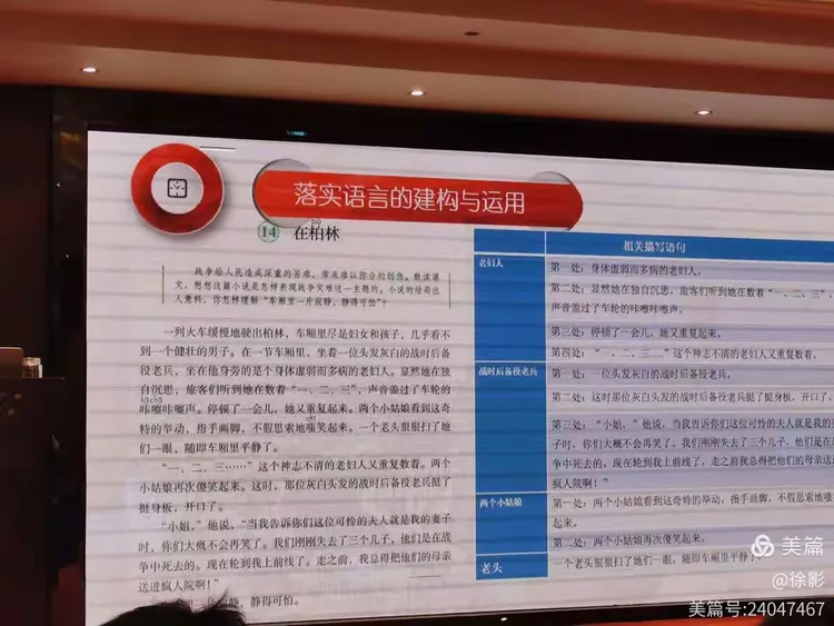 虎落平原被犬欺，古人流传有道理打一个准确生肖,警惕虚假宣传,实时解答解释落实